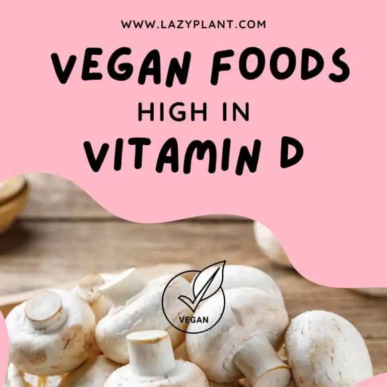 How to get vitamin D as a vegan? LazyPlant