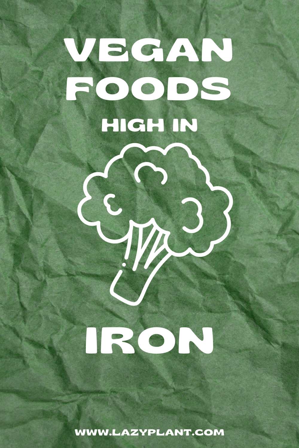 A list of the richest vegan foods in iron.