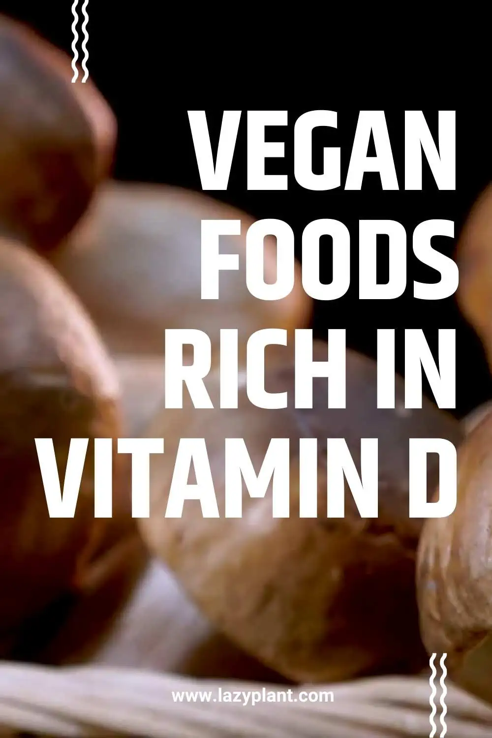 A list of common vegan foods with vitamin D.