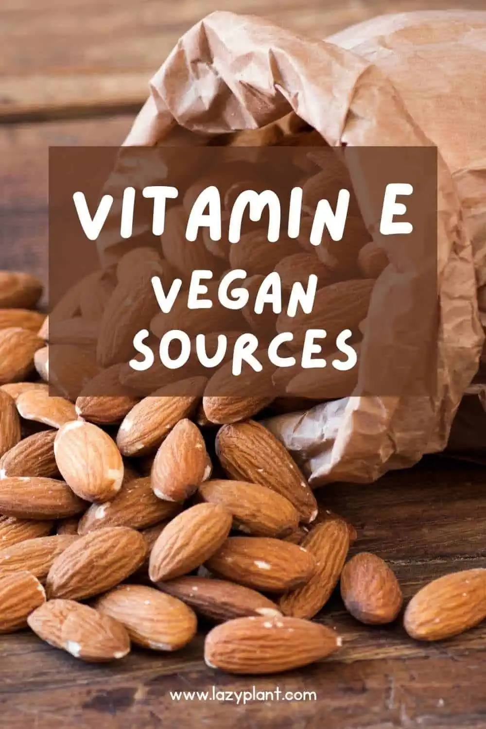 A list of the richest vegan foods in vitamin E.