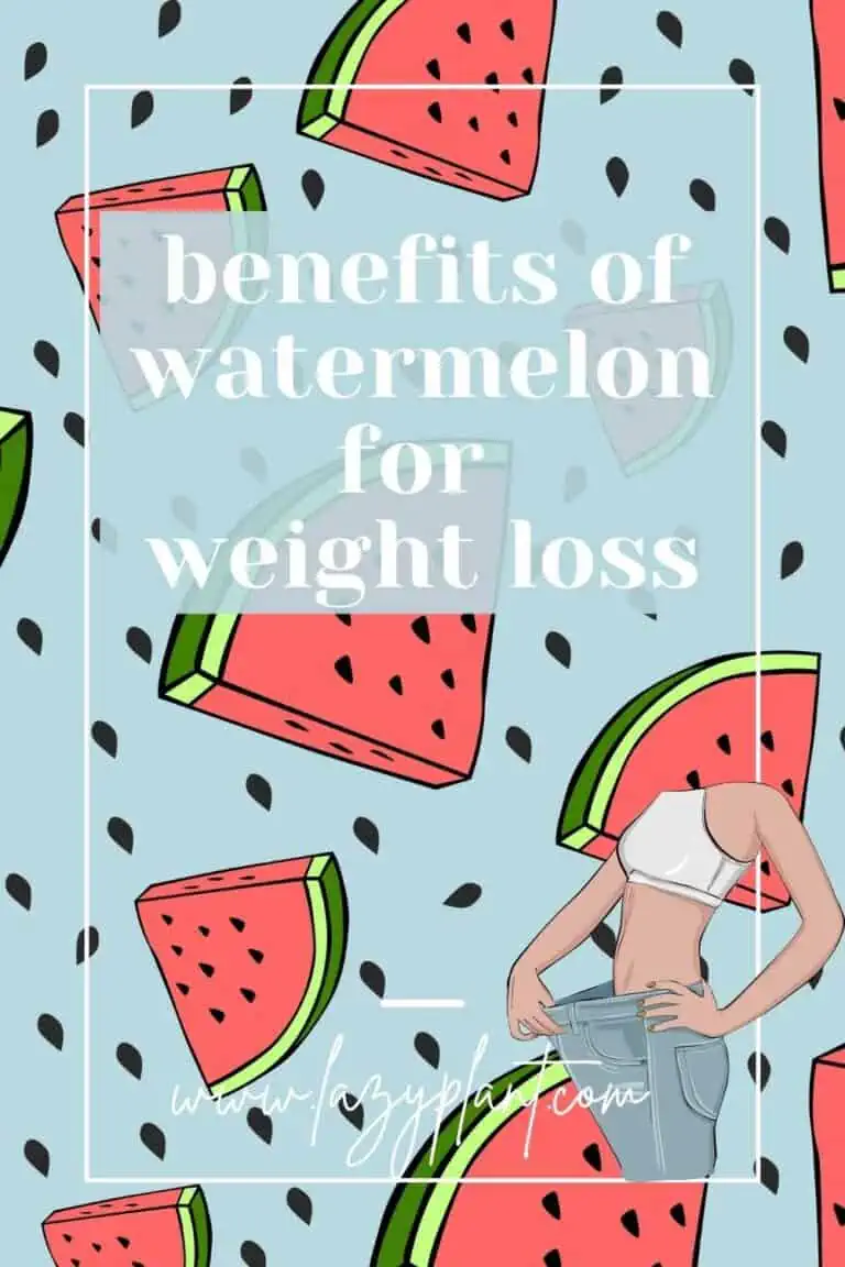 Is watermelon good for weight loss? LazyPlant