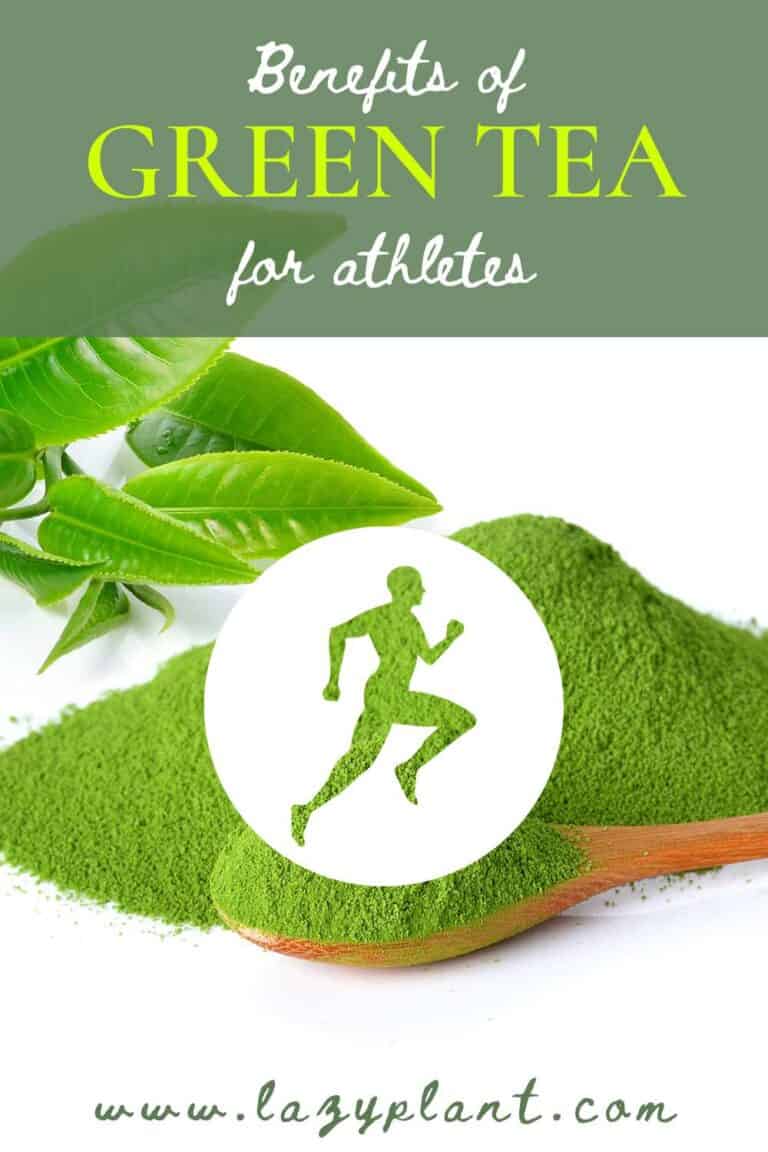 Benefits of drinking green tea before/after exercise LazyPlant