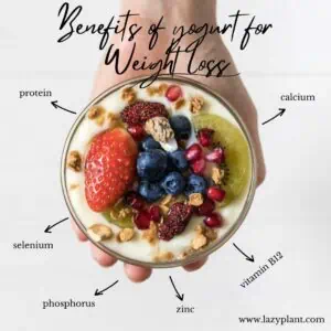How to eat yogurt for breakfast for weight loss? - LazyPlant