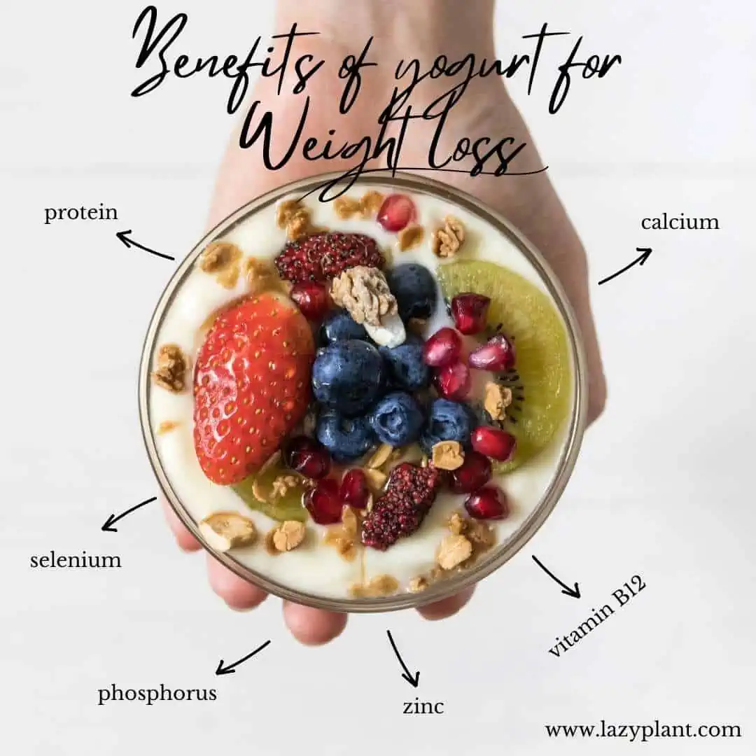 8 reasons why yogurt at breakfast supports weight loss.