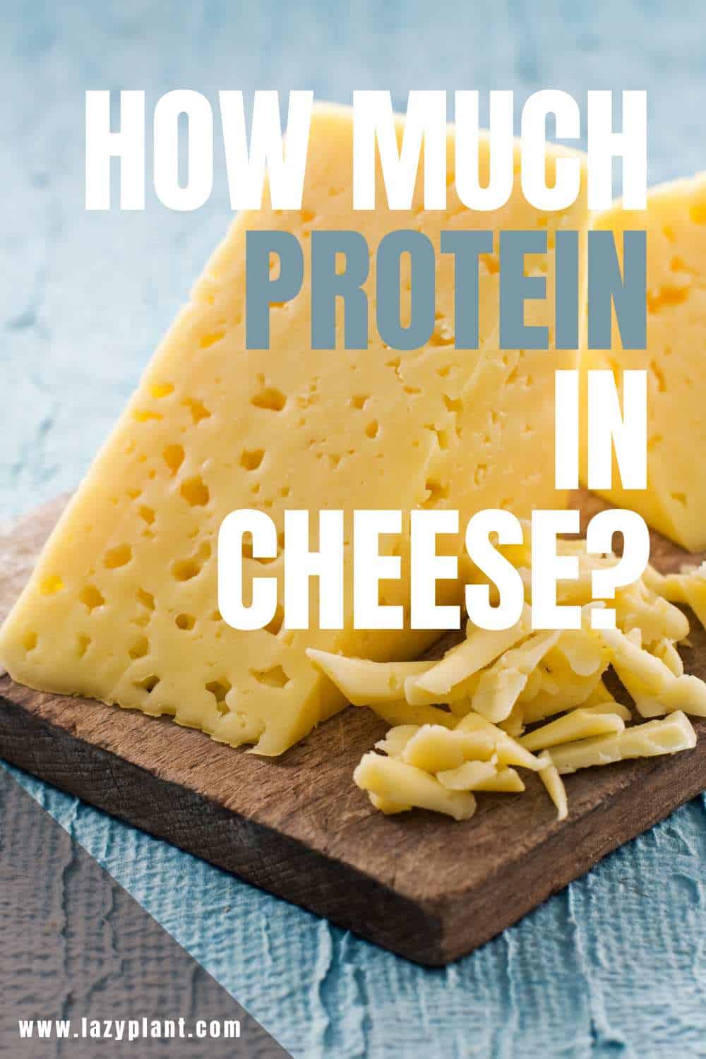 How much protein in cheese?