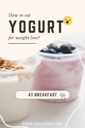 How to eat yogurt for breakfast for weight loss? - LazyPlant
