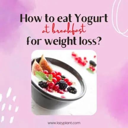 How to eat yogurt for breakfast for weight loss? - LazyPlant