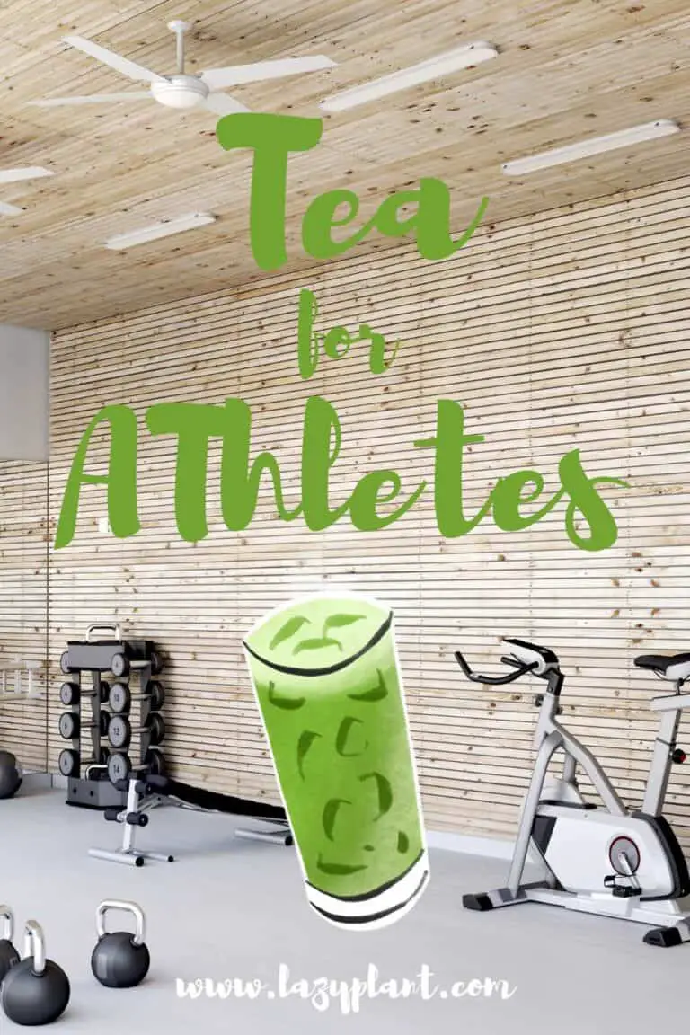 Benefits of drinking green tea before/after exercise LazyPlant