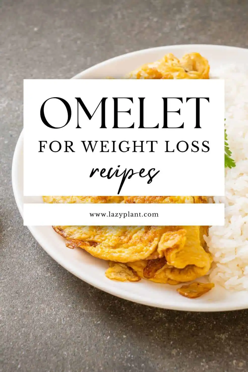 Easy protein-rich oats egg omelet recipes for weight loss.