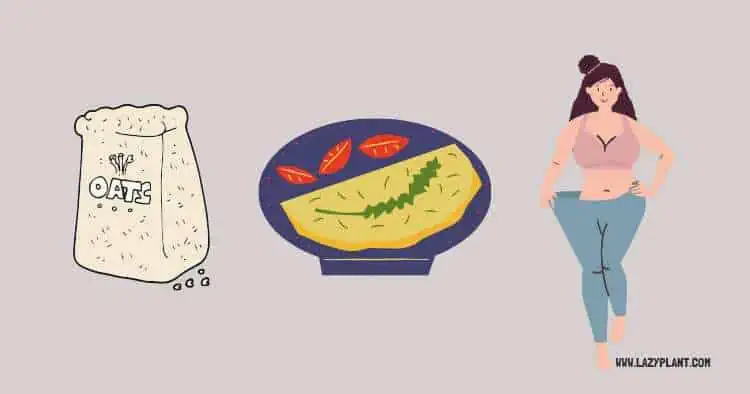 an oats egg omelet a day supports weight loss!