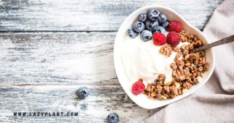 Eating overnight oats with yogurt supports weight loss!
