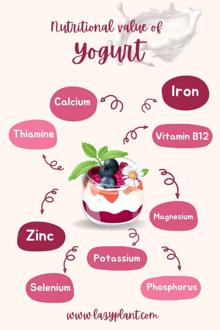 Eat Oats with Greek Yogurt for Weight Loss LazyPlant