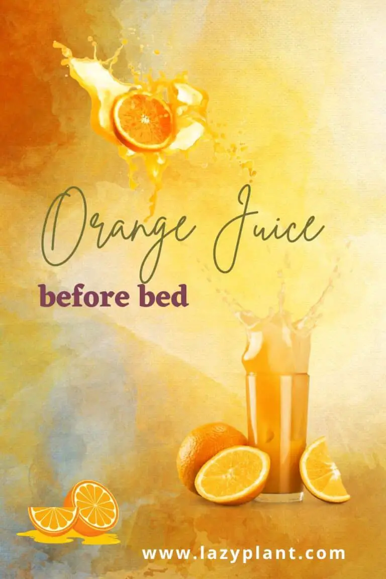 Benefits of drinking orange juice before bed LazyPlant
