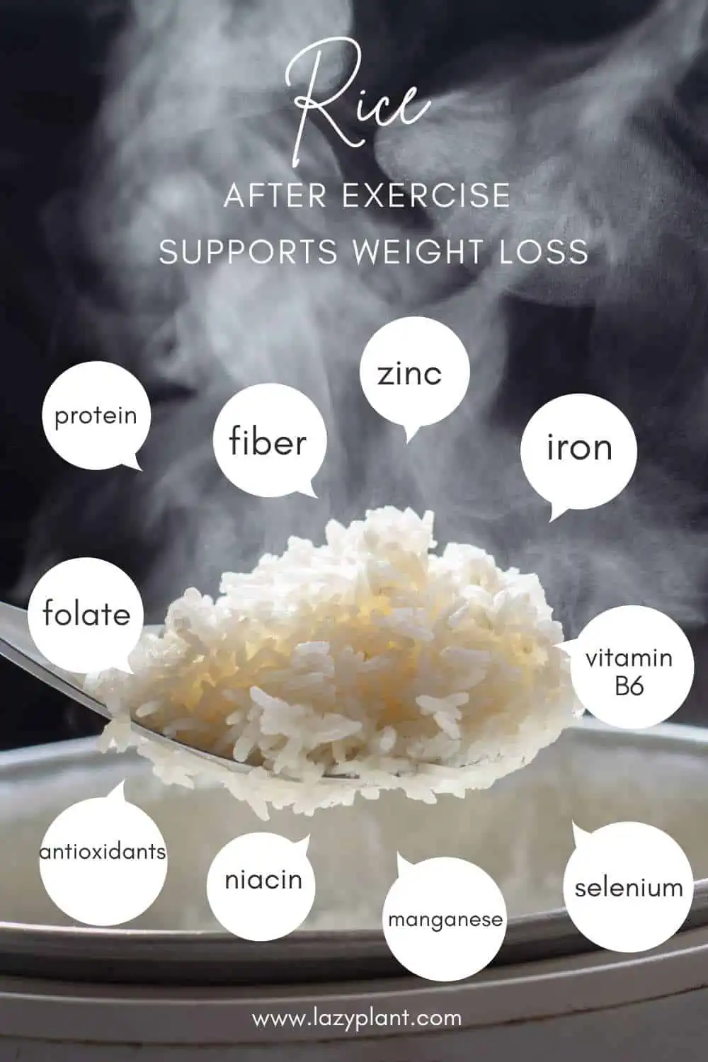 White or brown rice after exercise for weight loss?