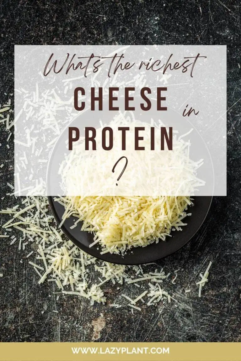 Is cheese a healthy source of protein? LazyPlant