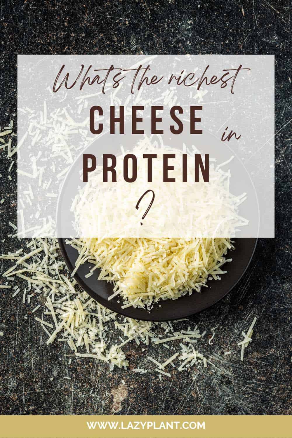 What’s the richest cheese in protein?
