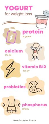 Using the Connection Between Gut Health and Weight Loss to Create Change