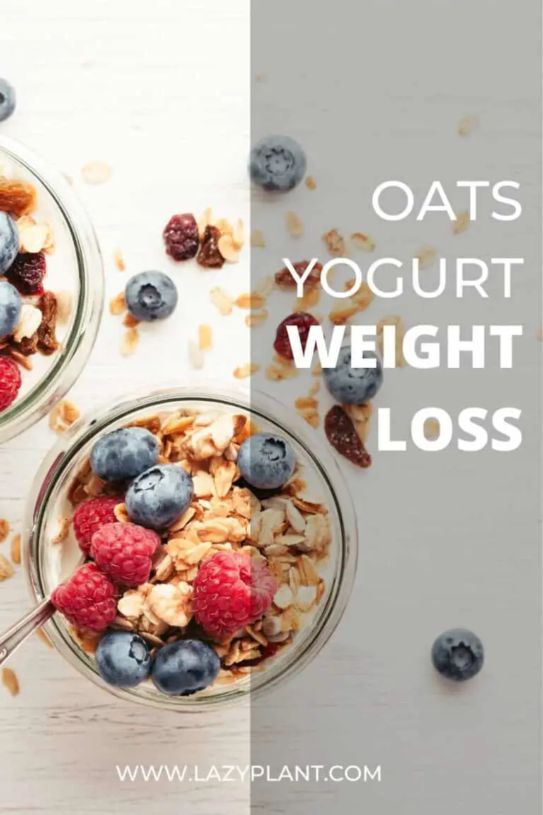 Benefits of overnight oats with yogurt for weight loss - LazyPlant