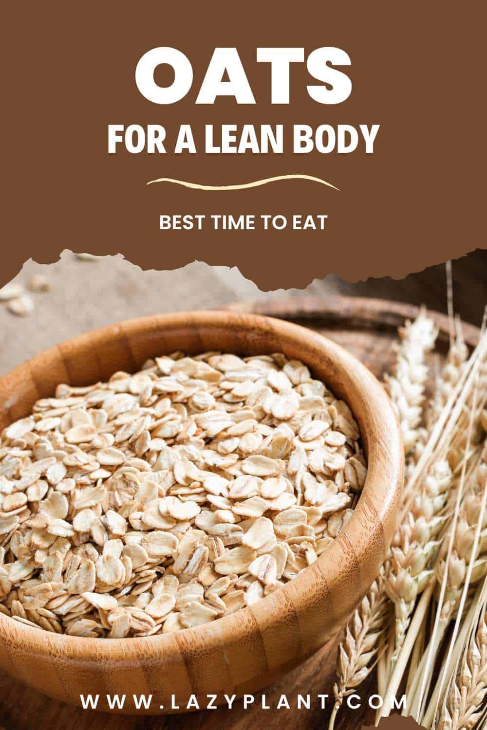 Athletes should eat Oats every day! - LazyPlant