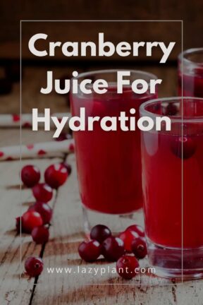 Thanks to its high concentration of three essential electrolytes, cranberry juice offers better hydration than water.