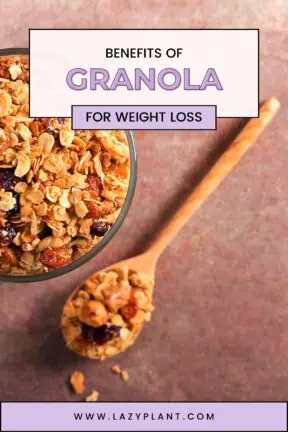 How much granola can I eat a day for weight loss?