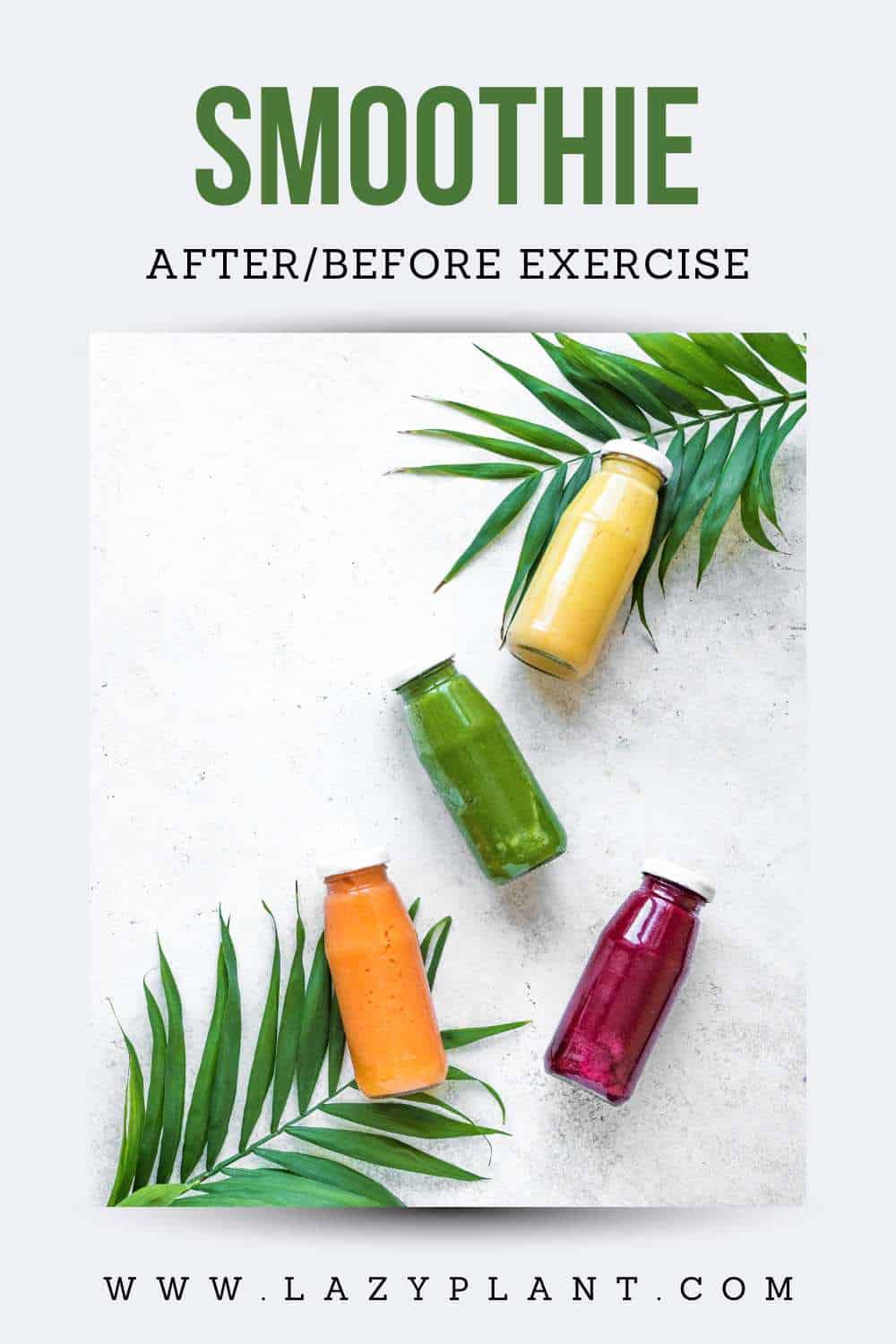 should-i-drink-a-smoothie-before-or-after-workout-lazyplant