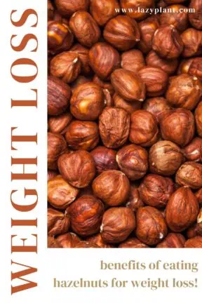 How many hazelnuts can I eat a day for weight loss?
