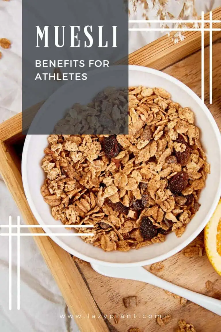 Benefits of eating muesli beforeafter exercise LazyPlant