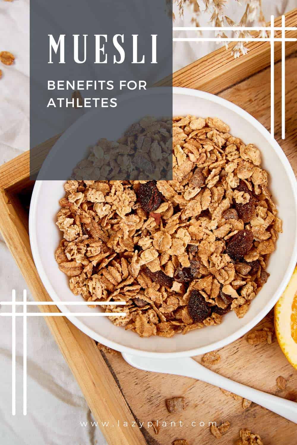 Benefits of eating muesli beforeafter exercise LazyPlant