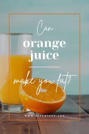 can a glass of orange juice a day make me fat?
