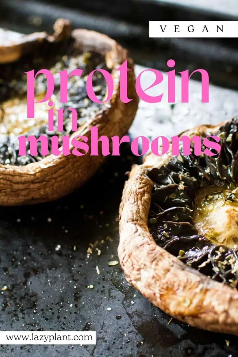 Are mushrooms high in protein? LazyPlant