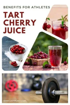 Why should athletes drink tart cherry juice before, after, or during strenuous exercise?