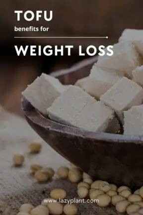 Why should I eat tofu for weight loss?