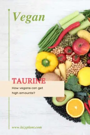 Are there vegan sources of taurine?