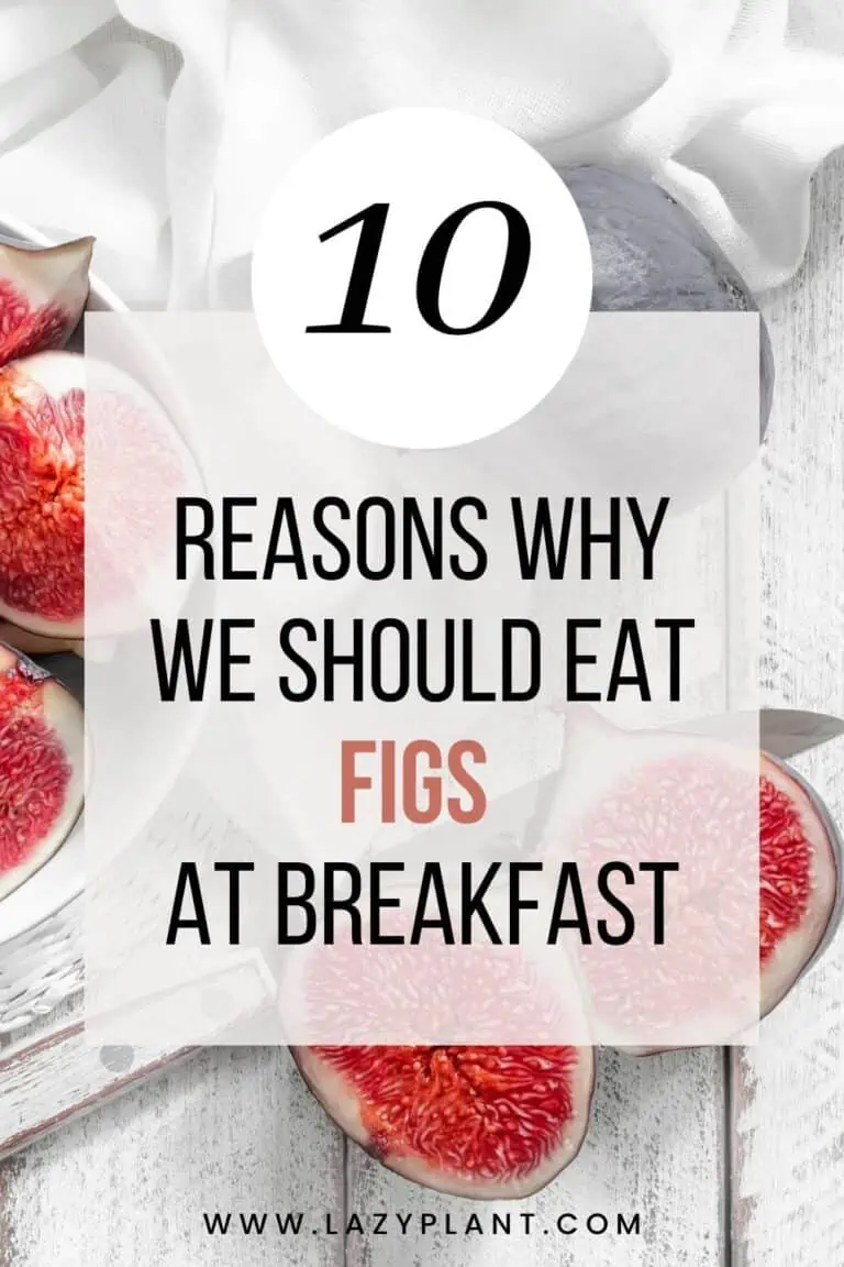 Benefits of eating dried figs at breakfast for health & weight loss
