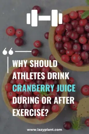 Benefits of drinking a glass of cranberry juice for athletes.