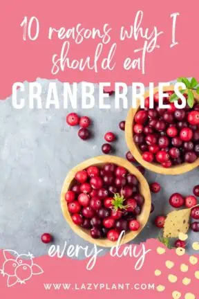 Health benefits of eating cranberries