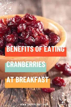 Among others, a cup of cranberries at breakfast supports weight loss.