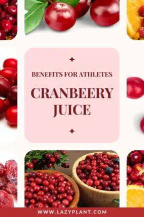 Athletes should drink a cup of cranberry juice before, during, or after strenuous exercise!
