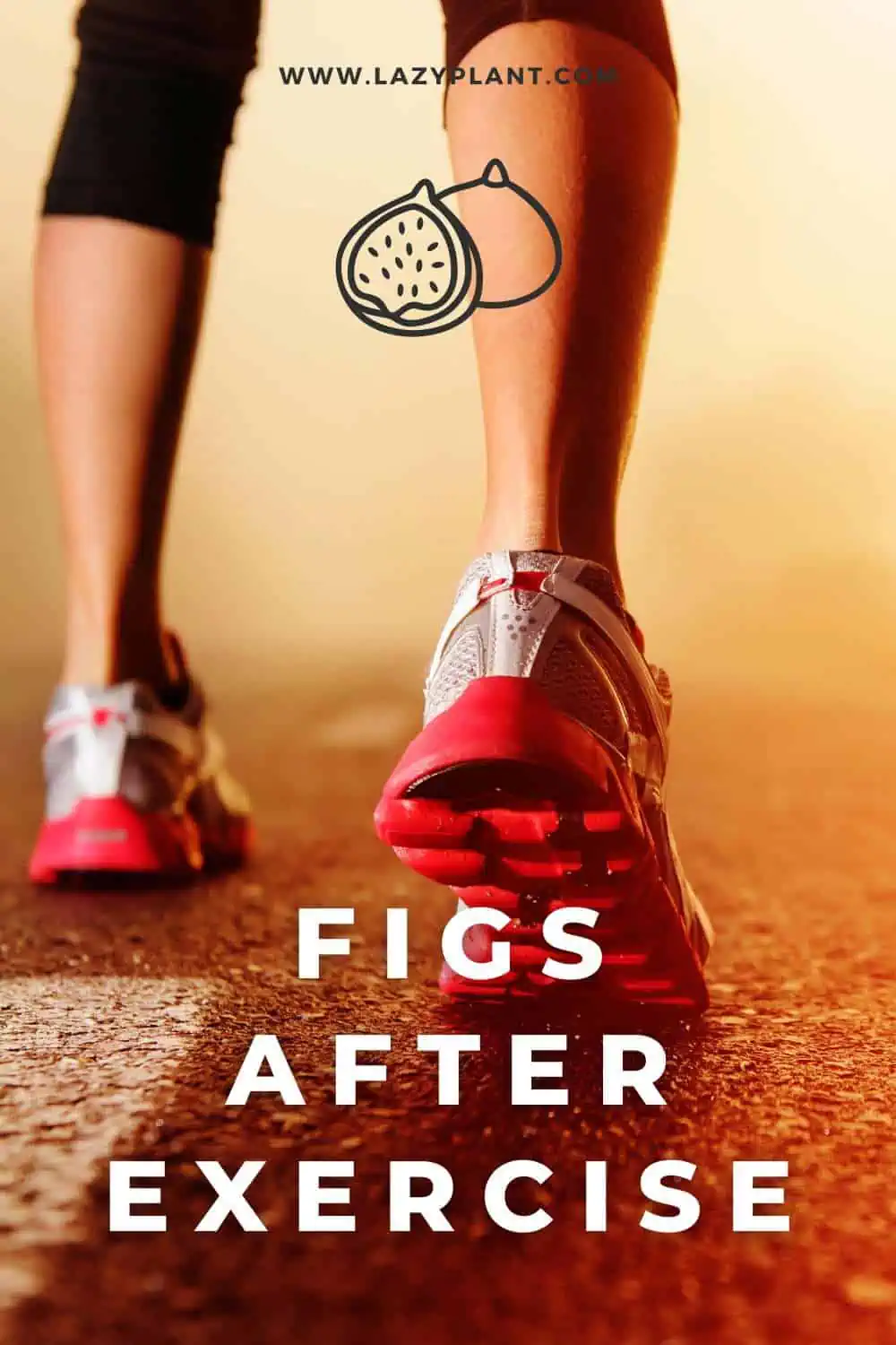 Figs can improve athletic performance!