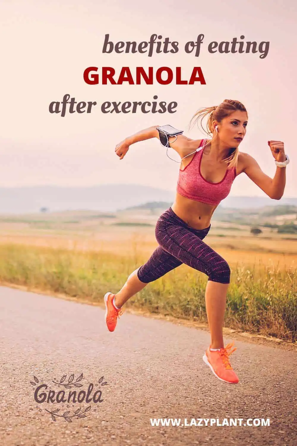 Benefits of eating granola after exercise LazyPlant