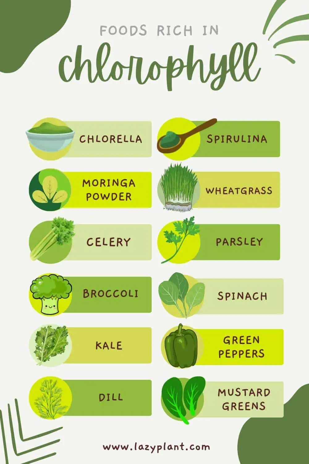 foods rich in chlorophyll