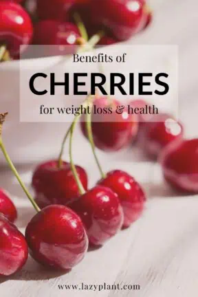 cherries in the morning support weight loss and good health