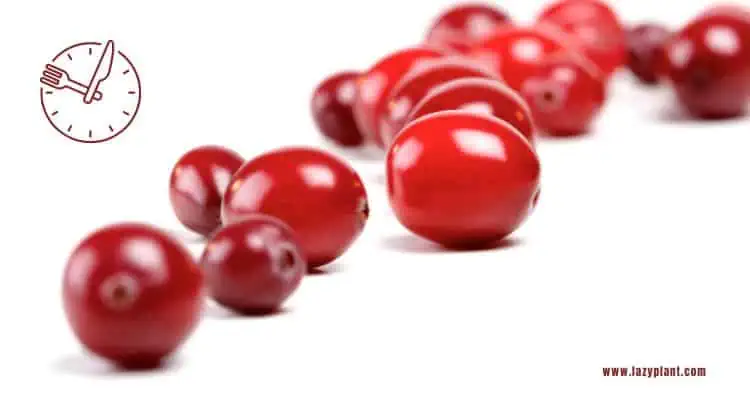 Health benefits of eating cranberries at breakfast.