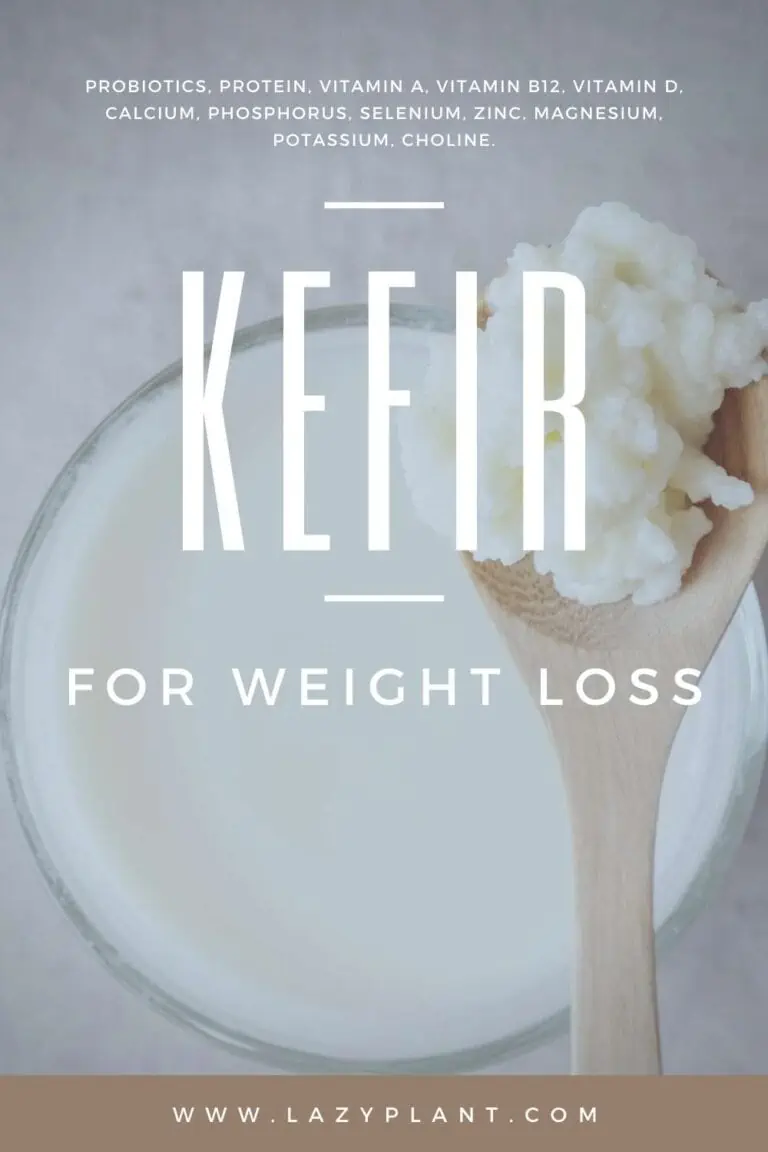 How much kefir should I drink daily for weight loss & good health