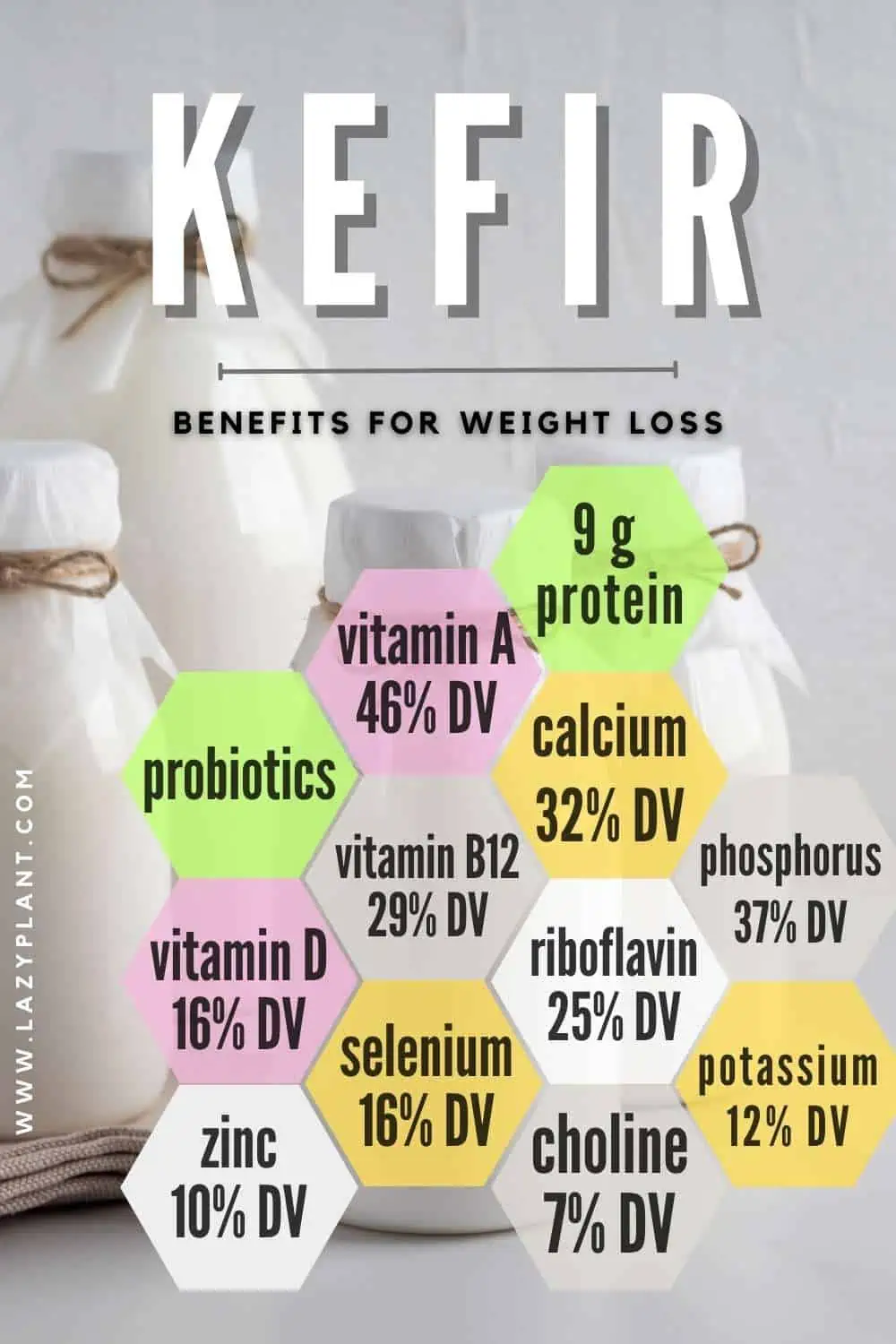 Probiotics, protein, vitamins, and electrolytes in kefir help lose weight.