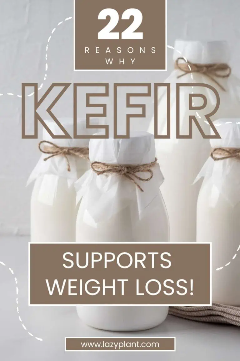 How much kefir should I drink daily for weight loss & good health