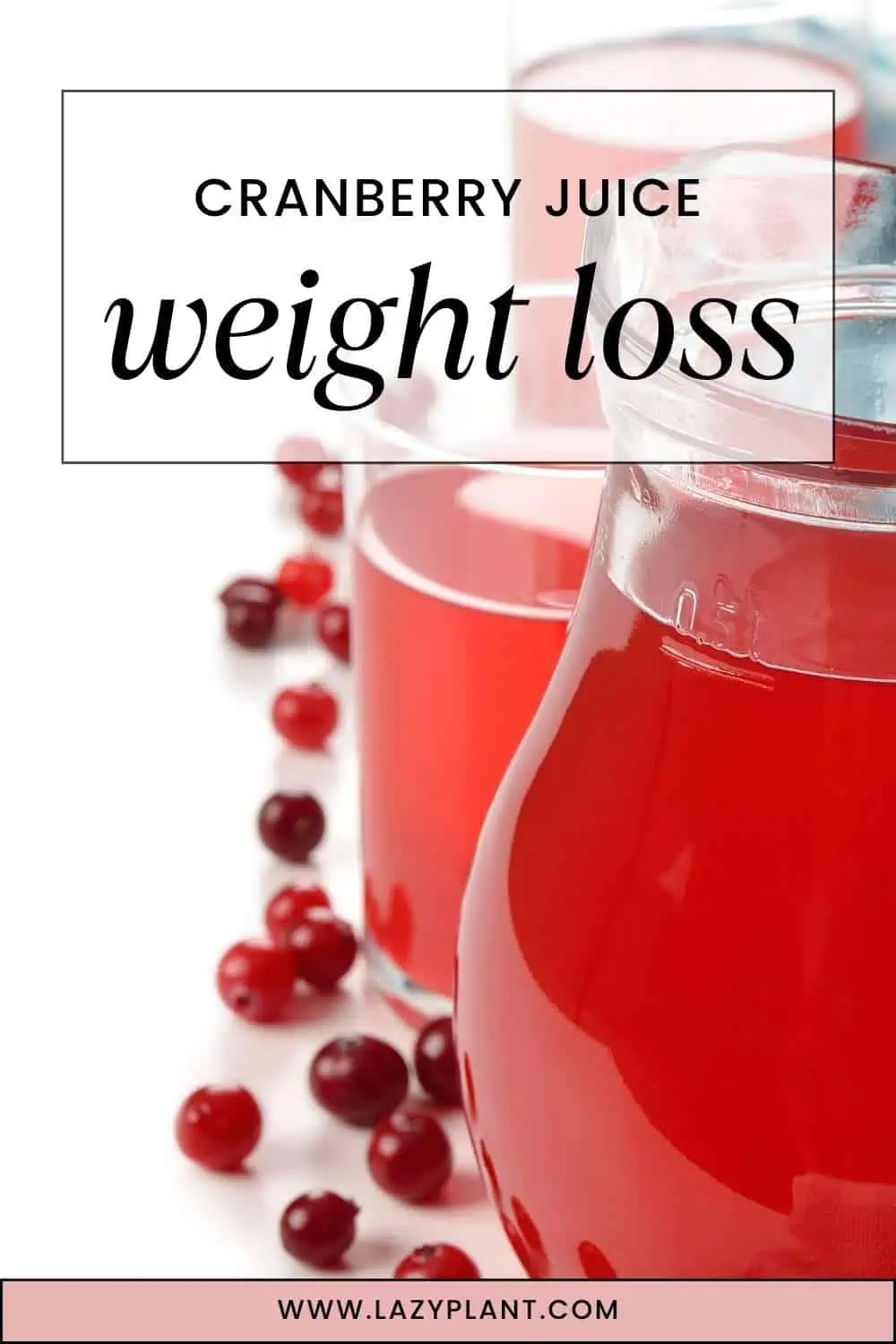 Cranberry juice for weight loss: Low in calories. High in polyphenols.