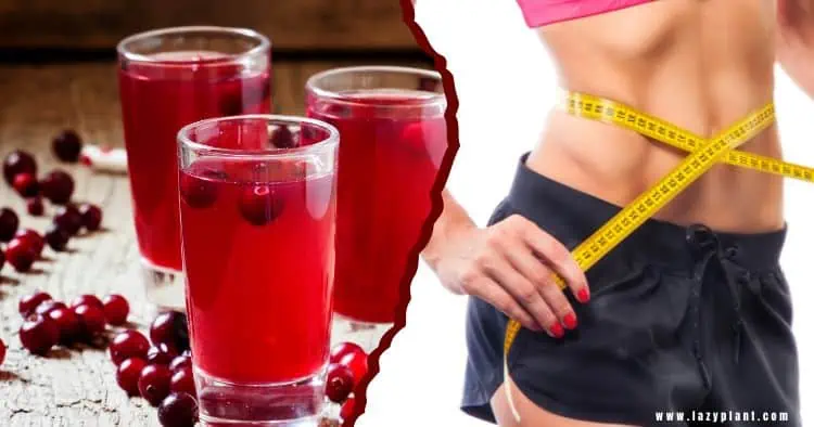A cup of cranberry juice a day supports weight loss & burns belly fat.
