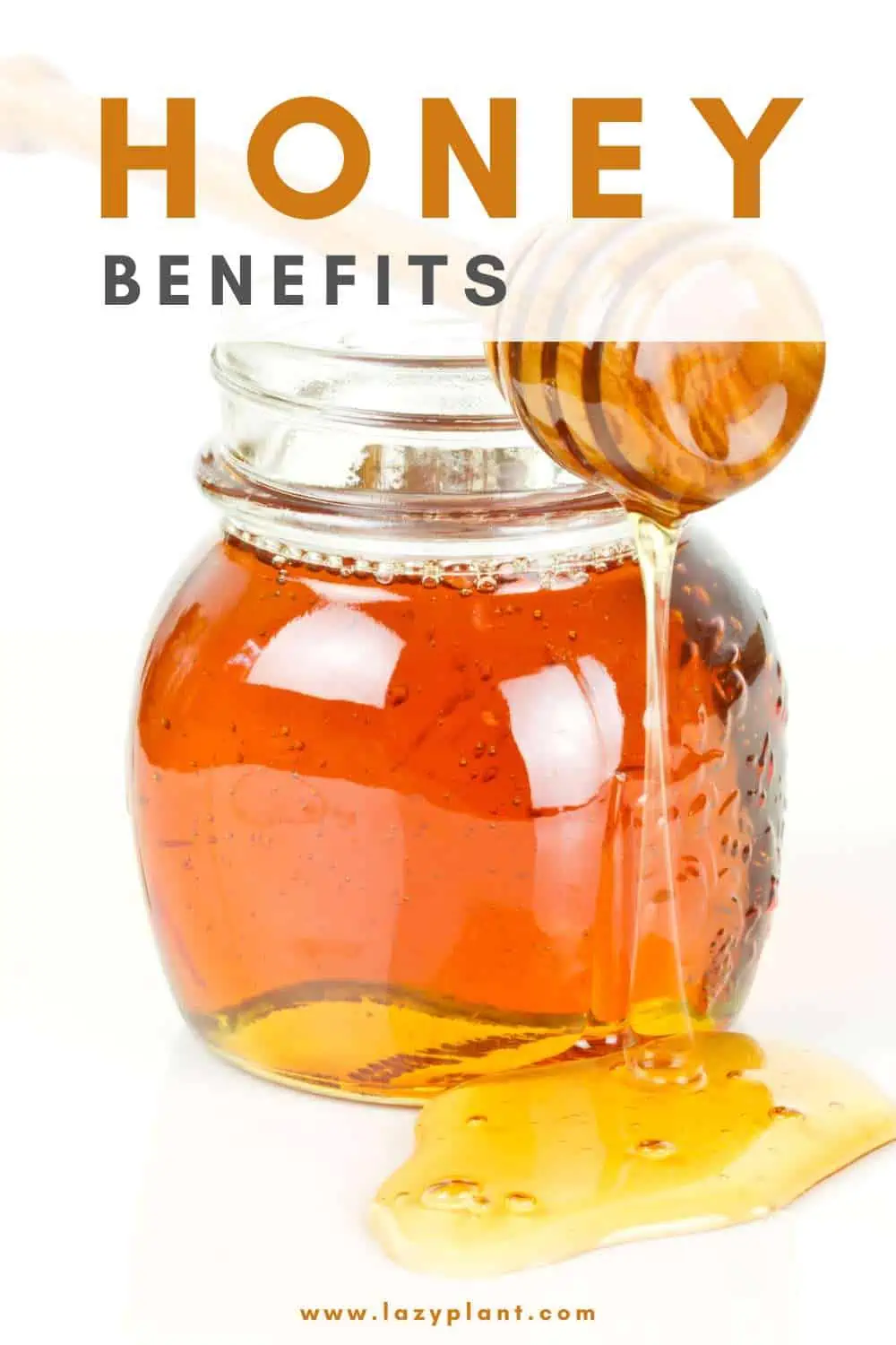 Honey is one of the richest foods in antioxidants.